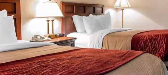 Comfort Inn of Livonia | Michigan - Detroit (ve civarı) - Livonia