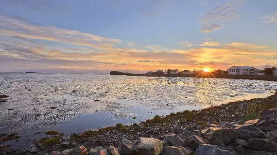 Hotel Edda Höfn | Güney İzlanda - Hofn