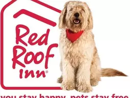 Red Roof Inn Phoenix North - Bell Road | Arizona - Phoenix (ve civarı) - Phoenix - Deer Valley