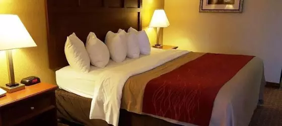 Red Roof Inn and Suites Little Rock | Arkansas - Little Rock (ve civarı) - Little Rock