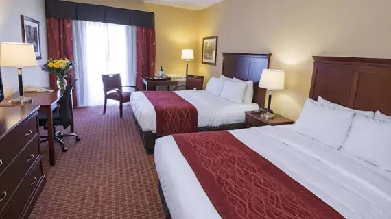 Comfort Inn Airport St. John's | Newfoundland and Labrador - Newfoundland - St. John's (ve civarı) - St. John's