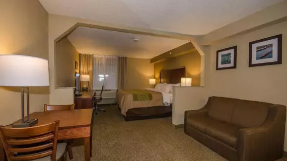 COMFORT INN | Michigan - Sault Ste. Marie