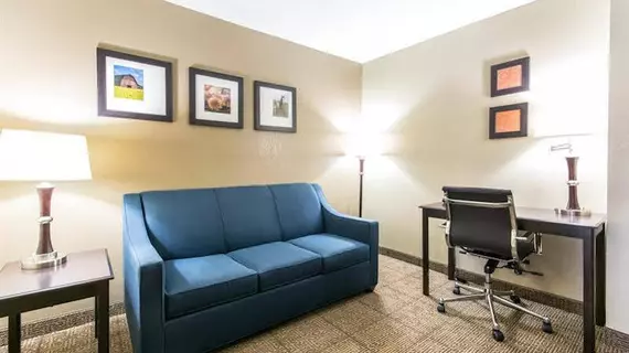 Comfort Inn & Suites Airport and Expo | Kentucky - Louisville (ve civarı) - Louisville