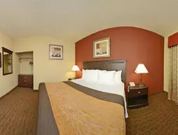 Comfort Inn West Phoenix | Arizona - Phoenix (ve civarı) - Phoenix - Estrella