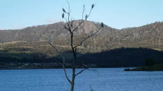 Derwent Retreat | Tazmanya - Hobart (ve civarı) - Austins Ferry