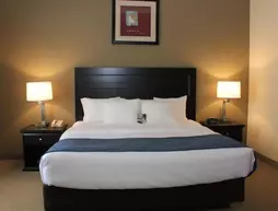 Comfort Suites South Bend | Indiana - South Bend (ve civarı) - South Bend