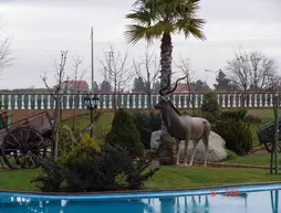 Alambique de Ouro Hotel Resort & Spa | Centro - Castelo Branco Bölgesi - Fundao