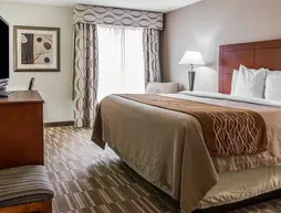 Comfort Inn & Suites University South | Michigan - Scio Township - Ann Arbor (ve civarı) - Ann Arbor