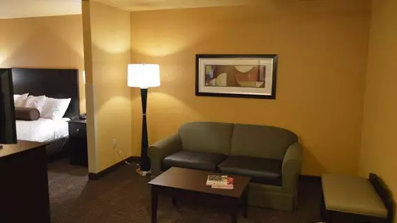 Best Western Plus Vermilion River Inn & Suites | Louisiana - Lafayette (ve civarı) - Lafayette