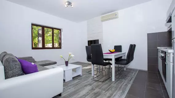 Apartments Villa Roza | Dubrovnik-Neretva - Dubrovnik (ve civarı) - Dubrovnik - Prijevor