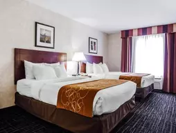 Comfort Suites - Independence | Missouri - Kansas City (ve civarı) - Independence