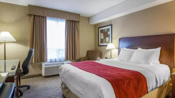 Comfort Inn & Suites Airdrie | Alberta - Calgary (ve civarı) - Airdrie