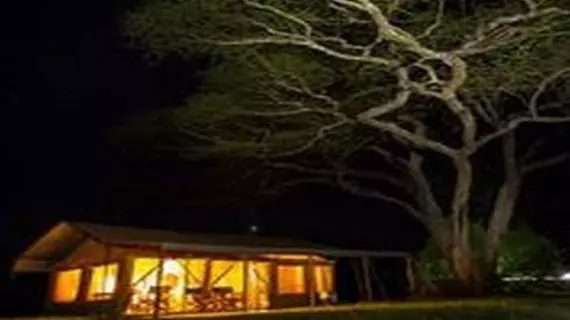 Kisura Serengeti Tented Camp | Serengeti Ulusal Parkı