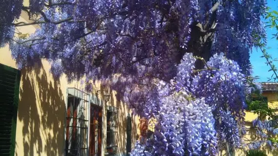 Villa Ape Rosa Relais | Toskana - Floransa (il) - Floransa - Careggi Rifredi