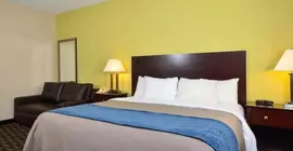 Comfort Inn Decatur | Alabama - Huntsville (ve civarı) - Decatur - Priceville