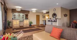 Comfort Inn Joliet | İllinois - Joliet