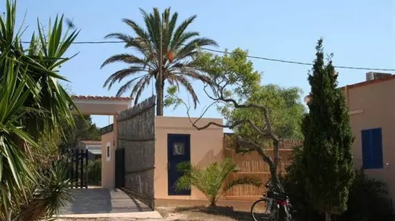 Apartamentos Miguel Torres | Balearic Adaları - Formentera