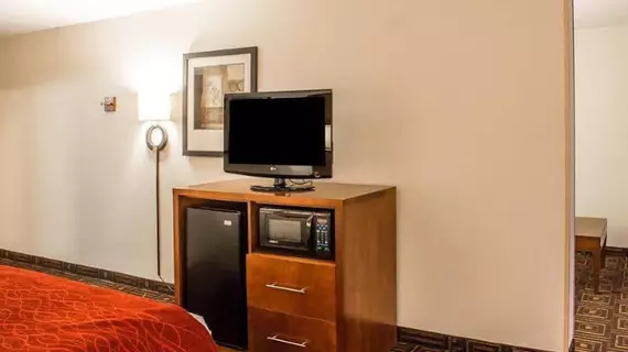 Hampton Inn ChattanoogaDowntown | Tennessee - Chattanooga (ve civarı) - Chattanooga - Downtown Chattanooga