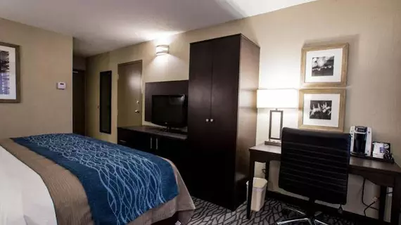 Comfort Inn Montreal Airport | Quebec - Montreal (ve civarı) - Pointe Claire