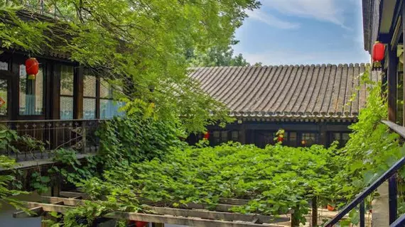 Hill Lily Courtyard | Pekin (ve civarı) - Fengtai - Yuegezhuang