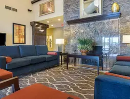 Comfort Inn Crystal Bridges Bentonville | Arkansas - Bentonville - Fayetteville (ve civarı) - Bentonville