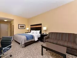 Comfort Inn & Suites at Stone Mountain | Georgia - Atlanta (ve civarı) - Lilburn