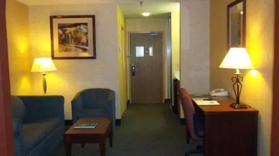 Comfort Inn & Suites Los Alamos | New Mexico - Santa Fe (ve civarı) - Los Alamos