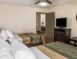 Comfort Inn & Suites Warsaw | Indiana - Varşova (ve civarı) - Warsaw