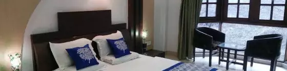 Hotel Snow Princess | Himaşal Pradeş - Manali (ve civarı) - Kullu