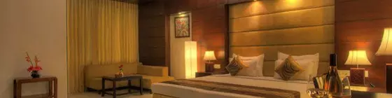 Hotel Regent Intercontinental | Batı Delhi - Ulusal Eyalet Başkenti Delhi - Delhi (ve civarı) - Yeni Delhi - Karol Bagh