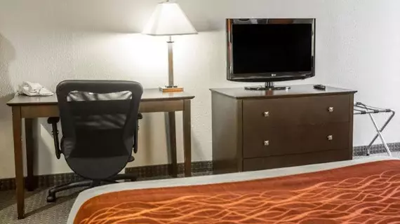 Comfort Inn O'Hare | İllinois - Des Plaines