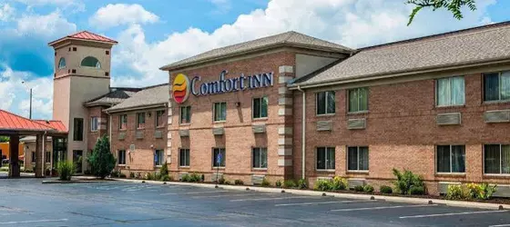 Comfort Inn Edinburgh | Indiana - Columbus (ve civarı) - Edinburgh