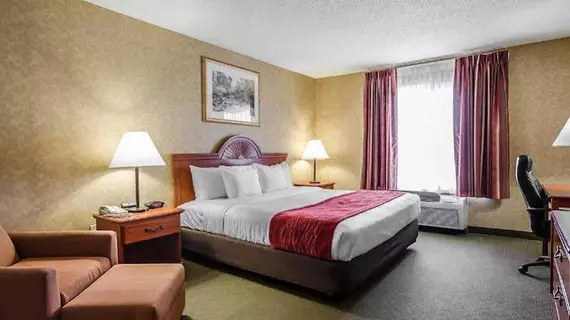 Comfort Inn & Suites | Kentucky - Owensboro (ve civarı) - Rockport