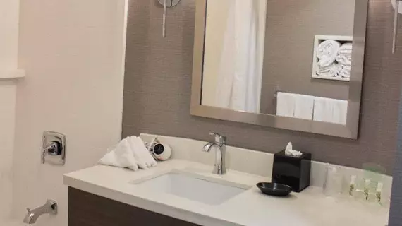 Holiday Inn Anaheim Resort Area | Kaliforniya - Orange County - Anaheim - Anaheim Resort