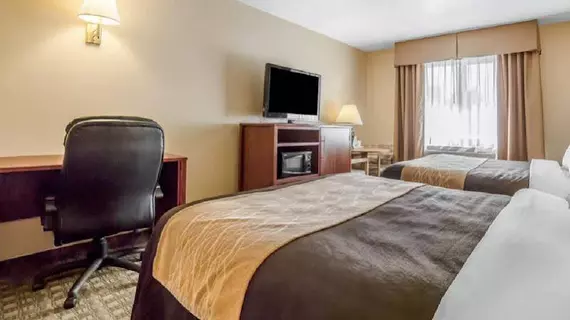 Comfort Inn & Suites | Utah - Fillmore (ve civarı) - Fillmore