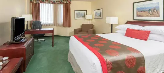 Ramada Plaza Calgary Airport Hotel and Conference Centre | Alberta - Calgary (ve civarı) - Calgary