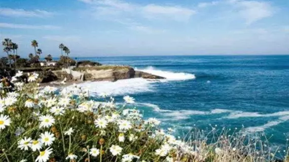 Residence Inn San Diego La Jolla | Kaliforniya - San Diego County - La Jolla - La Jolla Village