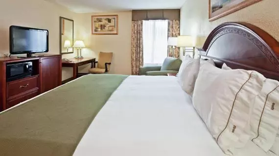 Holiday Inn Express Hotel & Suites Kimball | Tennessee - Chattanooga (ve civarı) - Kimball