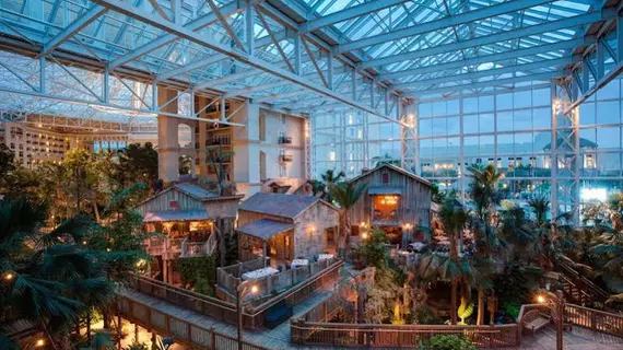 Gaylord Palms Resort & Convention Center | Florida - Orlando (ve civarı) - Lake Buena Vista - Disney's Maingate East