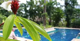 Ao Nang Premier Resort | Krabi İli - Krabi - Ao Nang