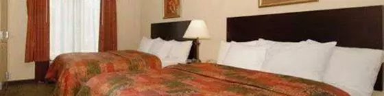 Holiday Inn Express and Suites Springfield Medical District | Missouri - Springfield (ve civarı) - Springfield