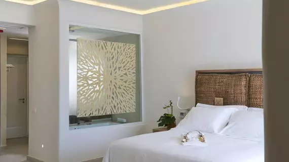 Anax Resort And Spa | Ege Adaları - Mikonos