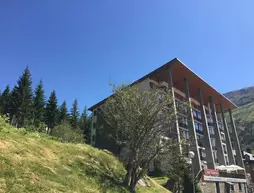 Hotel Edelweiss Candanchú | Aragon - Huesca - La Jacetania - Aisa - Candanchu