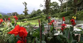 Trapp Family Lodge | Puntarenas (ili) - Monteverde