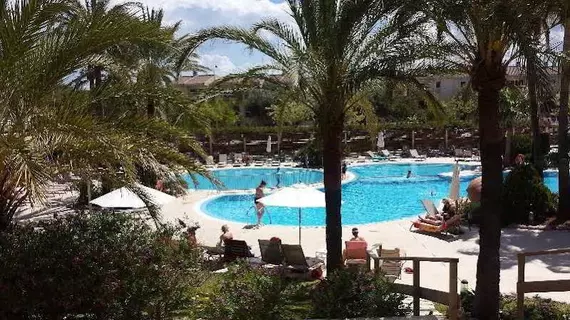 Puerto Azul Suite Hotel | Balearic Adaları - Mayorka Adası - Pollensa - Puerto de Pollensa