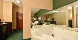 Comfort Inn Arnold | Missouri - St. Louis (ve civarı) - Arnold