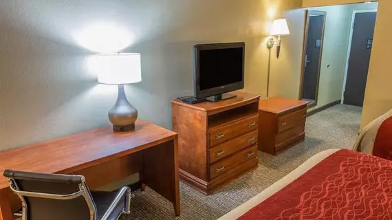 Comfort Inn Opelika | Alabama - Auburn - Opelika (ve civarı) - Opelika