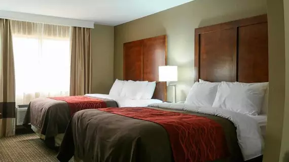 Comfort Inn & Suites Leeds | Alabama - Birmingham (ve civarı) - Leeds