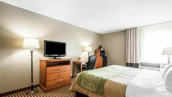 Comfort Inn Willow Springs | Missouri - West Plains (ve civarı) - Willow Springs