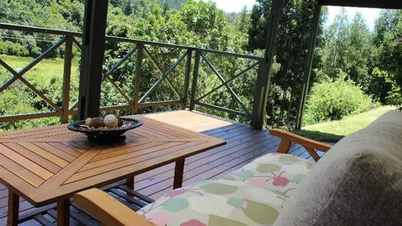 Blackwaters River Lodge | Western Cape (il) - Knysna